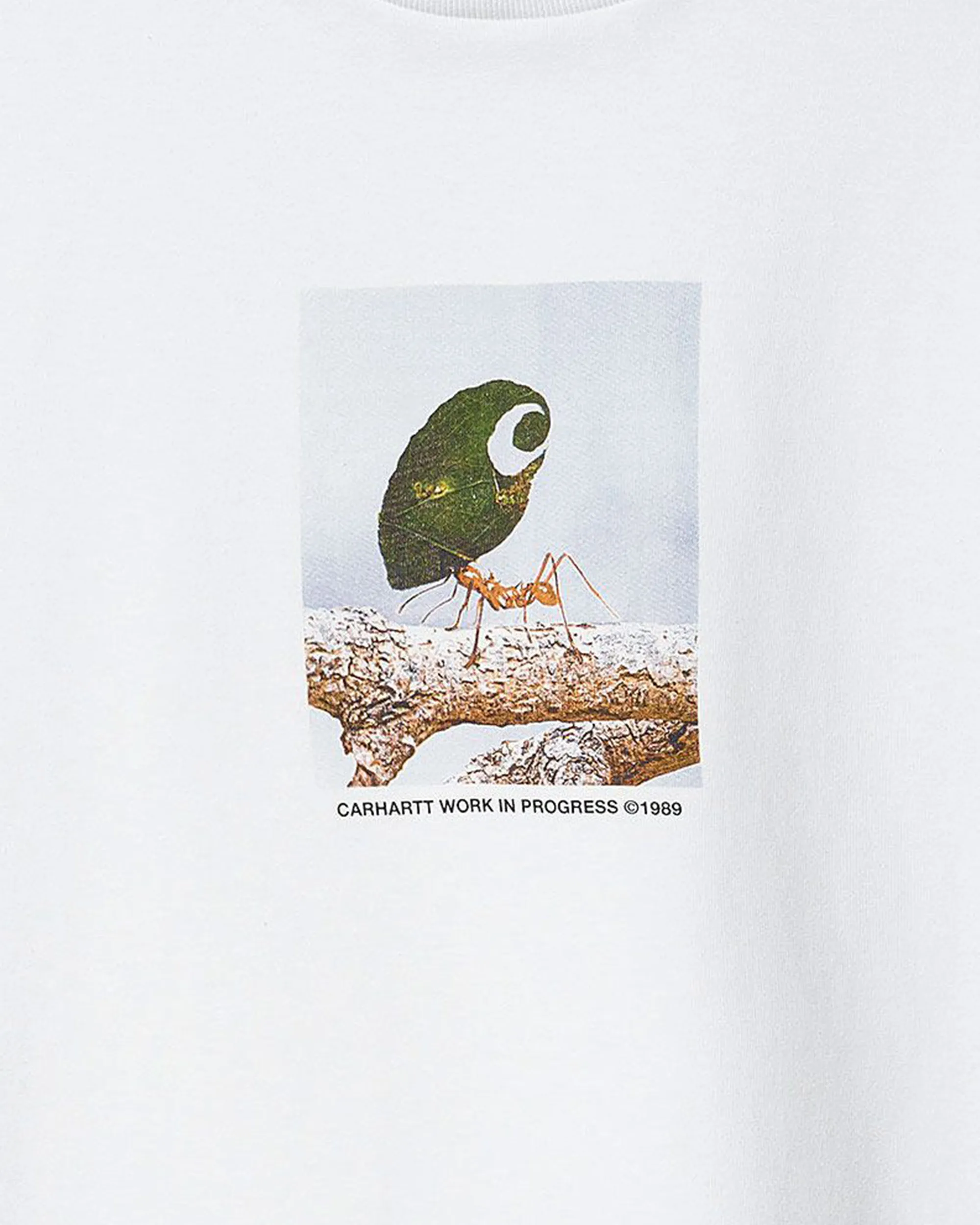 Antleaf T-Shirt - White