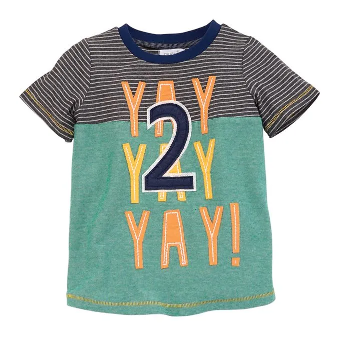 Boy Birthday Celebration Shirts